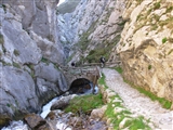 Foces del r&iacute;o Pino