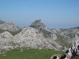Bra&ntilde;arredonda
