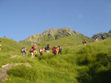 Camino del Fari&ntilde;entu