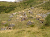 Bra�a de Sousas width=