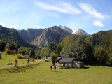 Bra�agallones