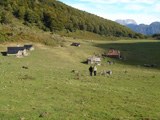Vega Pociellu