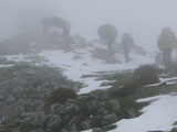Camino del Caldoveiro