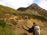 Ruta Cornon