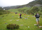 LLanos de Bra&ntilde;a Fria
